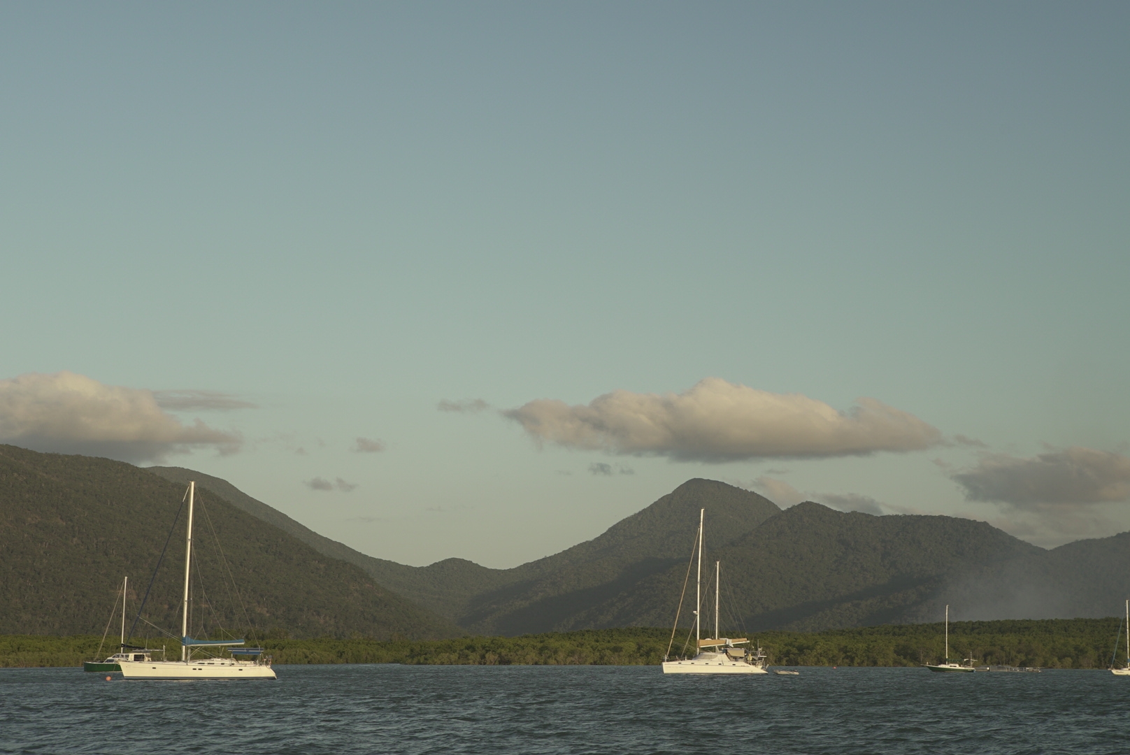 Queensland net free zones to go ahead